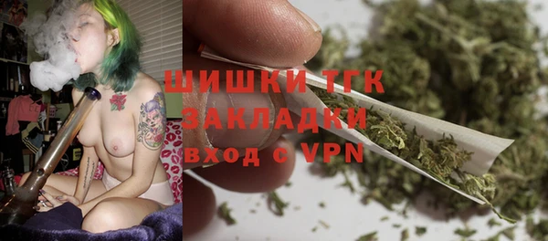 прущие грибы Алзамай